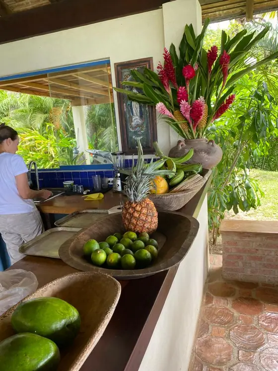 Cocina y bar exterior con frutas tropicales